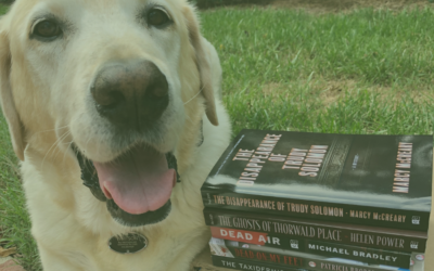 5 Thriller & Mystery Book Recommendations